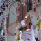 Äppelblütefest: Eine Fest-Königin mit Krone und weißem Kleid.