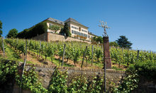 Schloss Johannisberg'de dünyanın en eski Riesling üzüm bağlarının şarabını