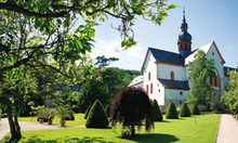 Kloster Eberbach manastırı, Rheingau'nun yan vadisinde yer almaktadır.