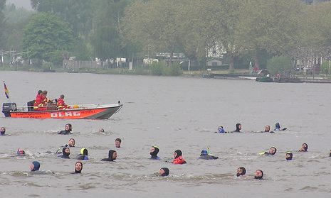 Anschwimmen der Taucher im Rhein: Taucherinnen und Taucher im Wasser