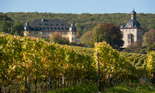 Vineyard management Schloss Vollrads