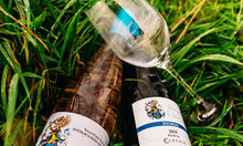 Weingut Fleschner  - Zwei Weinflaschen und ein Glas liegen im Gras.
