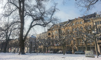 Winter in Wiesbaden