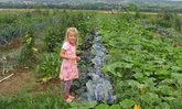 Kind auf Gemüseacker
