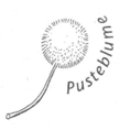 Icon/Logo der Elterninitiative Pusteblume e.V.