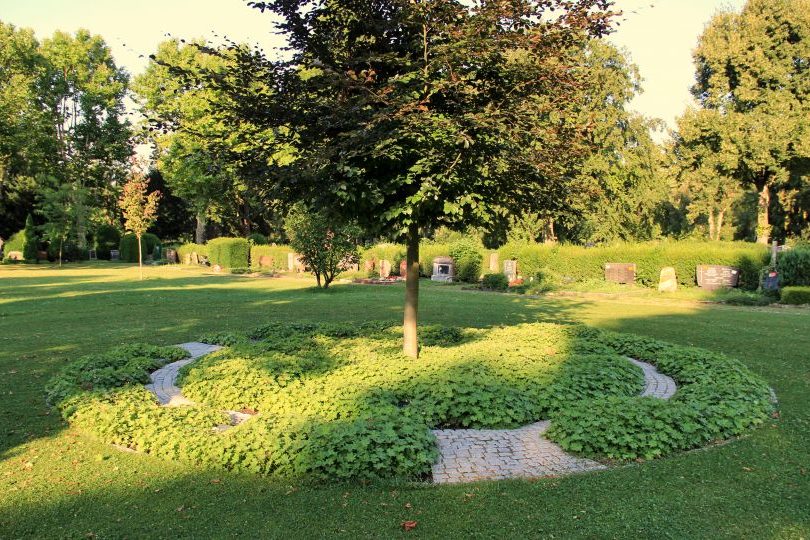 Tumba del árbol