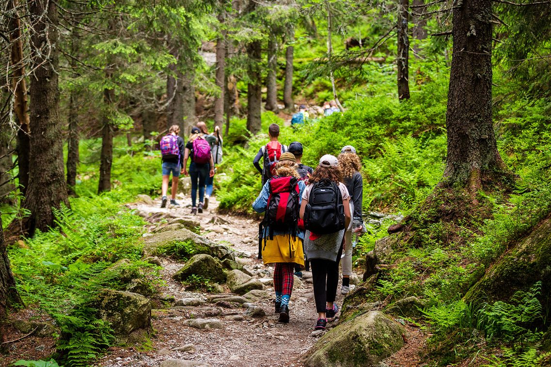 Wanderinnen und Wanderer im Wald.