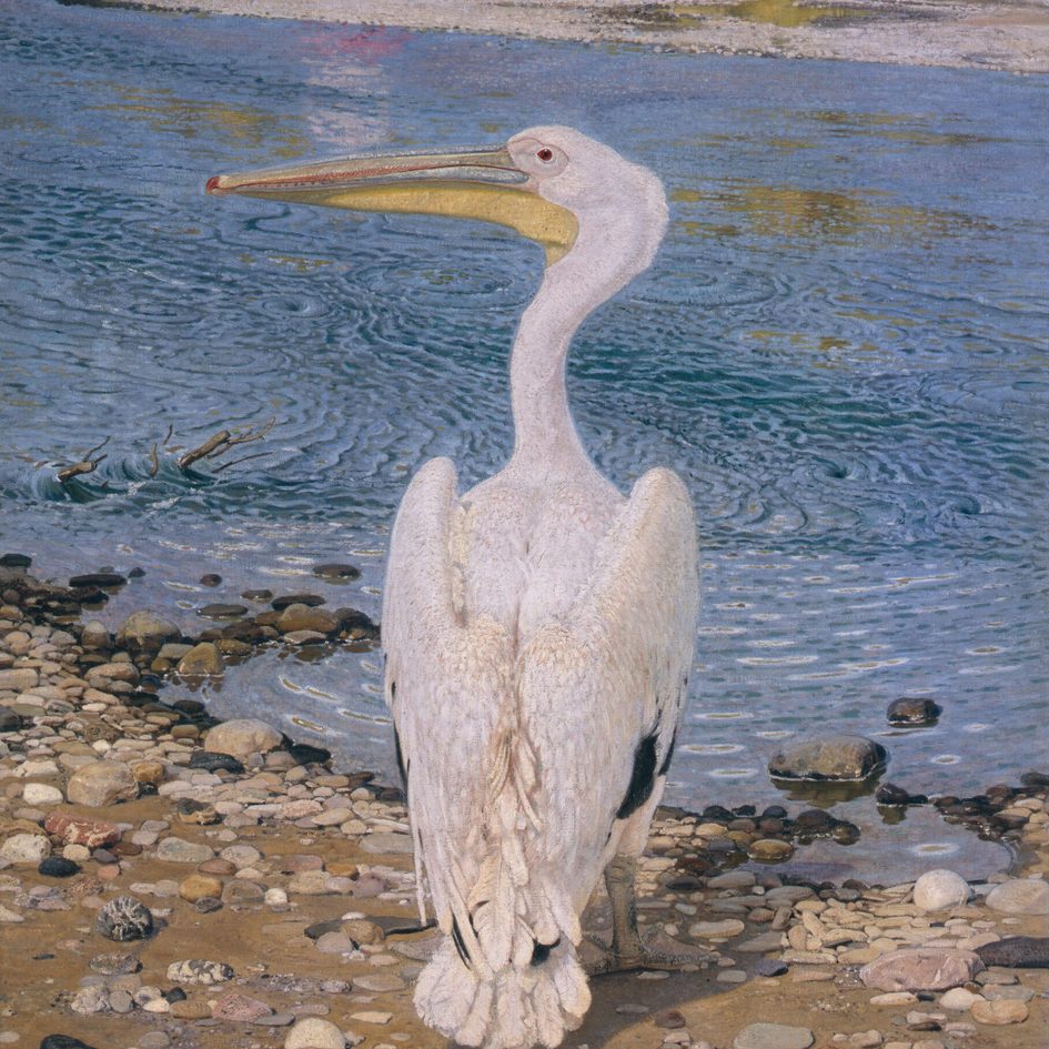 Georg Lührig, Pelikan, 1900/01, Albertinum
