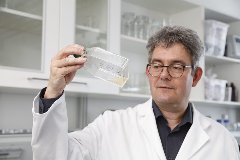Prof. Dr. Henner Hollert