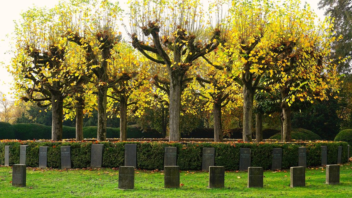 There are gravestones under the plane trees