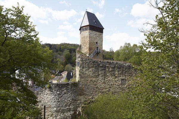 Stowarzyszenie Zamek Frauenstein