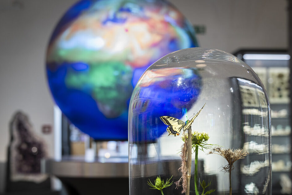 Blick in die Ausstellung mit Weltkugel und Schmetterling