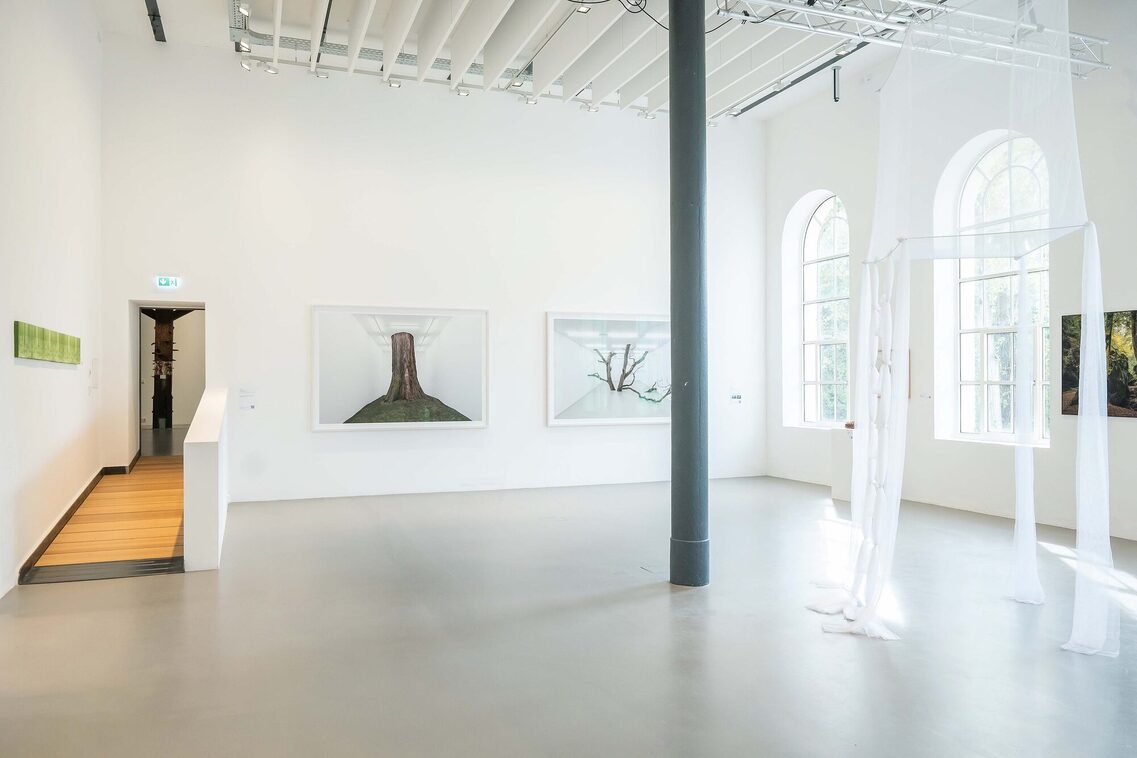 Blick in hellen Ausstellungraum mit abstrakter Kunst