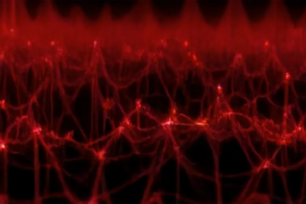 Visualisierung der Installation An den Grenzen des Pulses