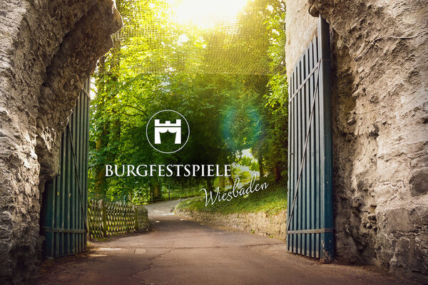 Castle entrance gate