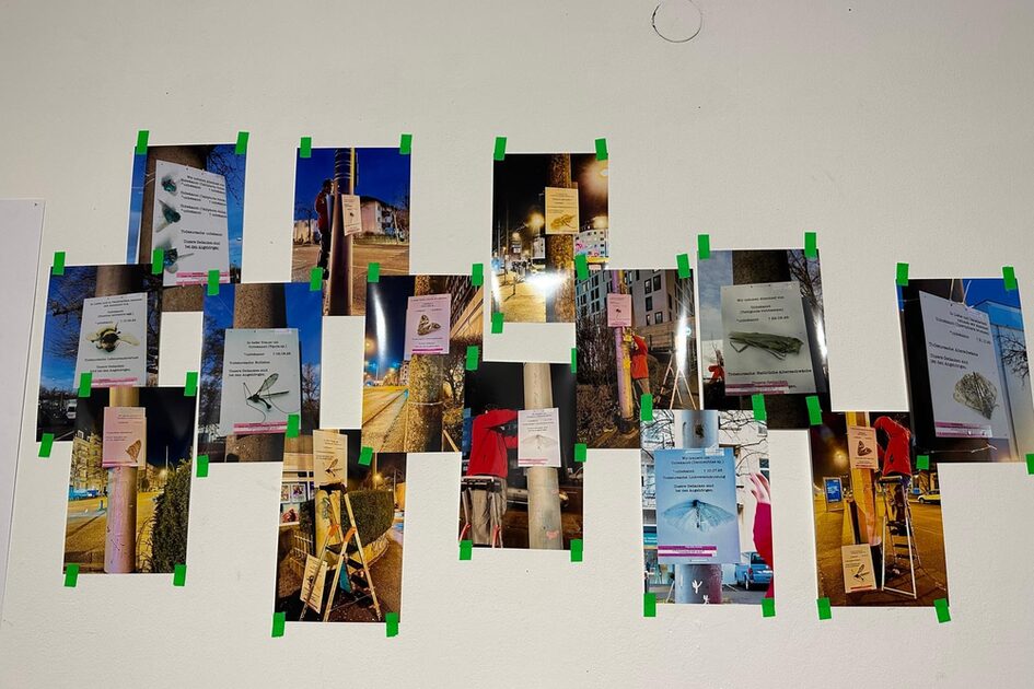 Ein Foto von einer Wand an der viele Fotos hängen