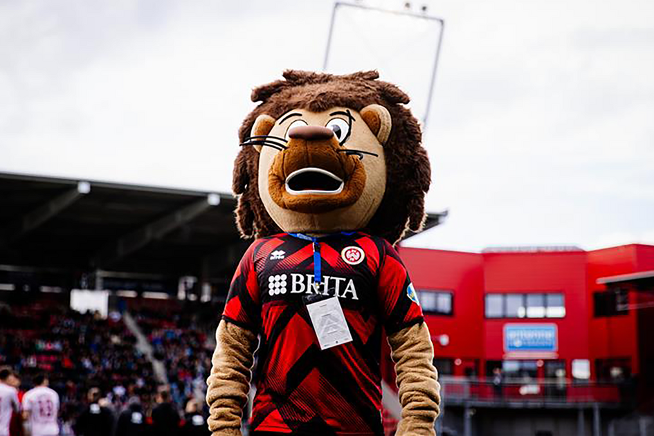 Пълнен лъв на футболния стадион.