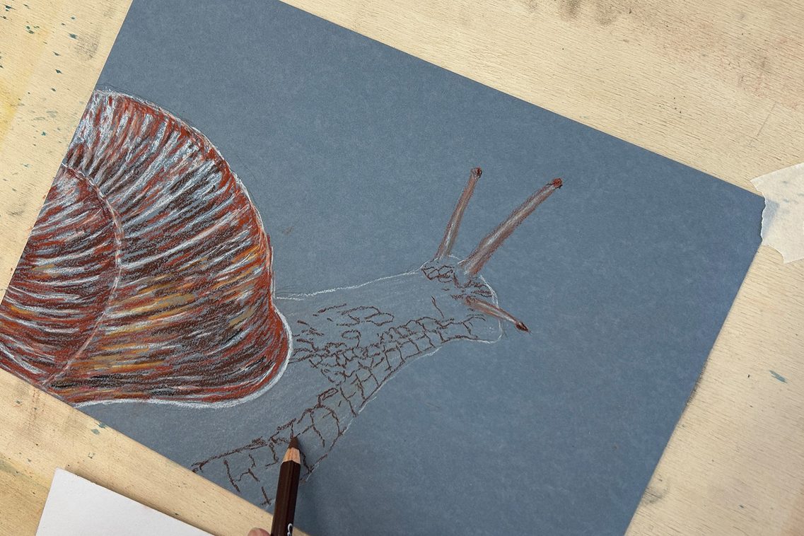 gezeichnete Schnecke und Weiß- und Brauntönen auf grauem Papier