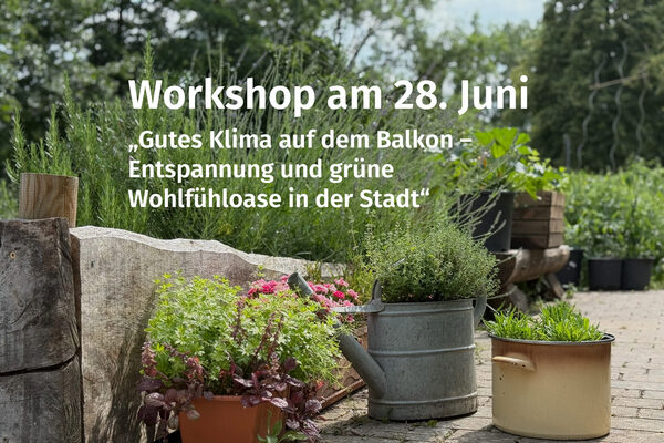 Gärtnern auf kleinstem Raum und in allem was da ist.