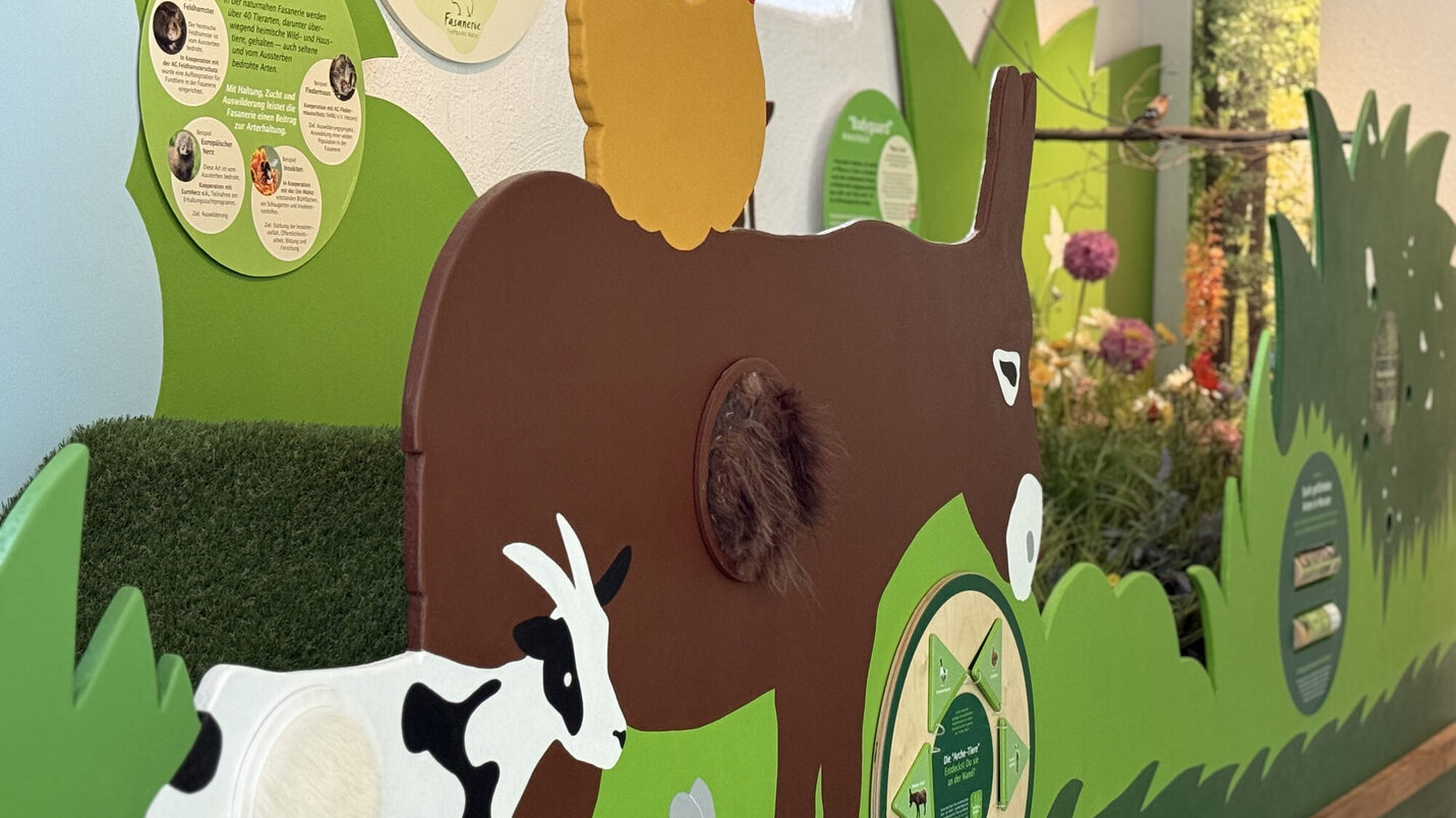 Pięknie zaprojektowana i edukacyjna: nowa wystawa w Fasanerie.