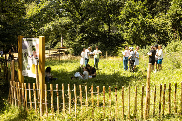 Individuelle Führungen & Workshops