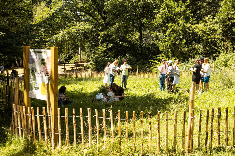 Индивидуальные экскурсии и семинары