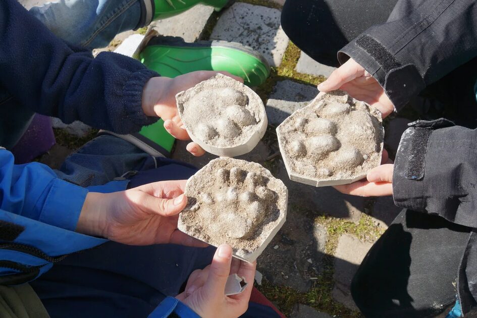 Trittsiegel aus Gips