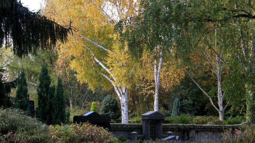 Friedhof Schierstein