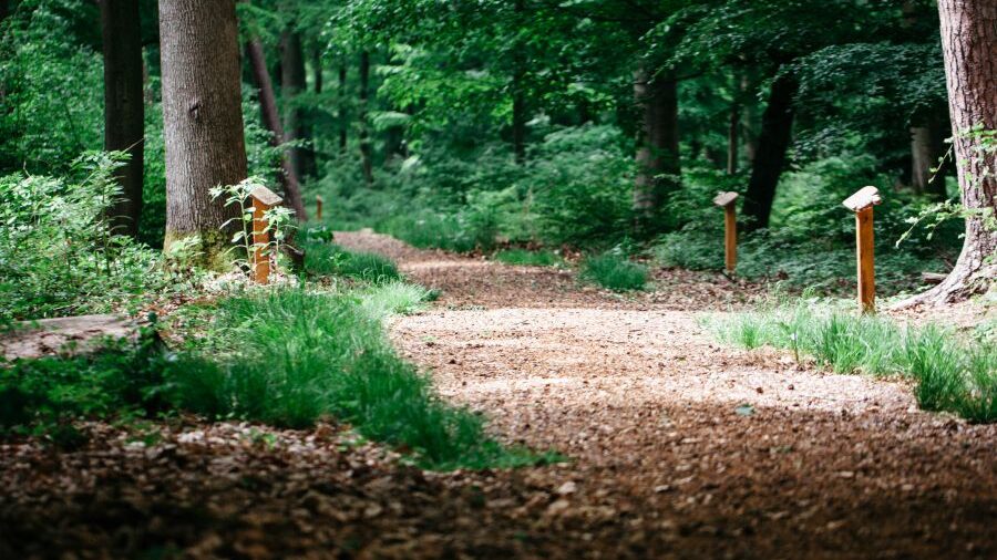 TERRA LEVIS burial forest