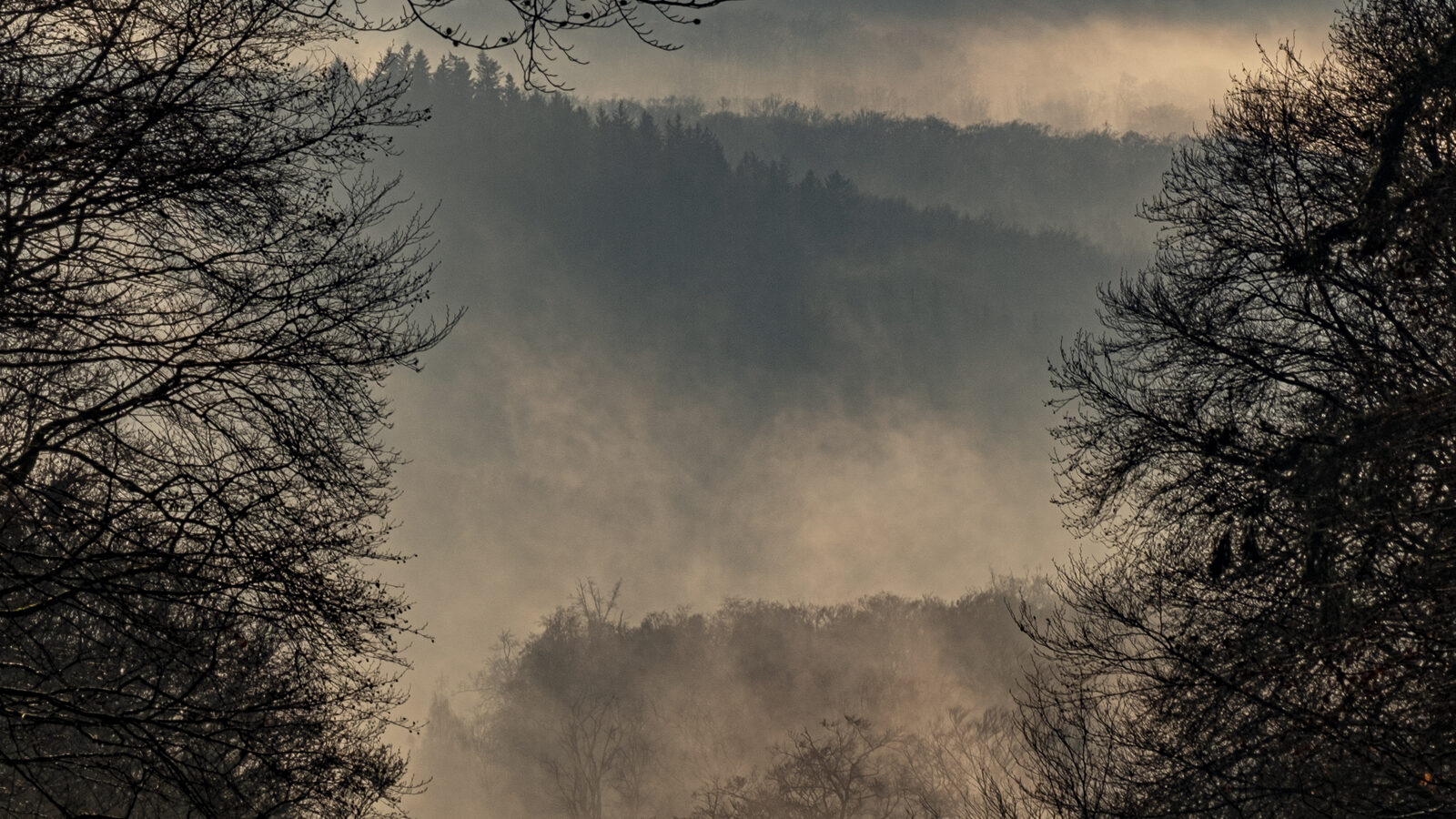 Nebel