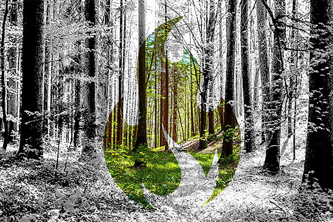 Wald mit grafischem Symbol - Flamme grün.