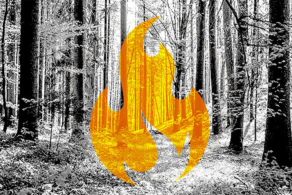 Wald mit grafischem Symbol - Flamme gelb.