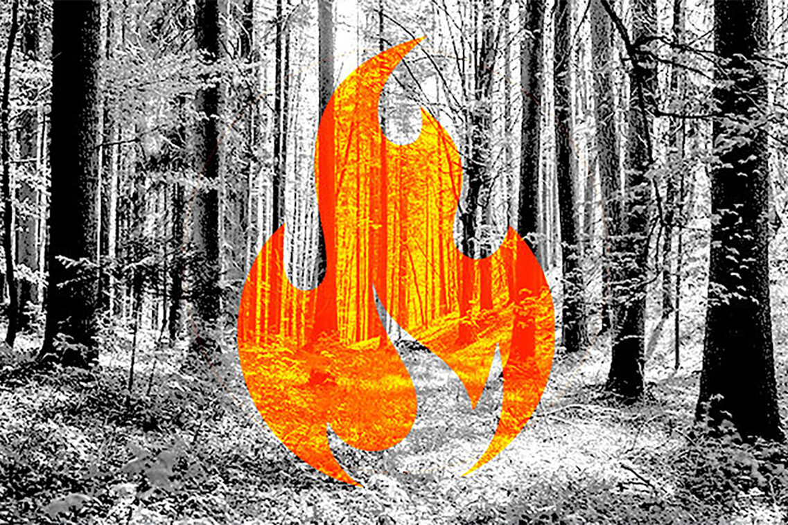 Wald mit grafischem Symbol - Flamme orange.