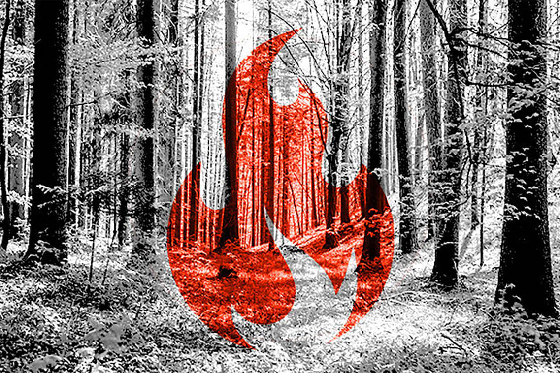Wald mit grafischem Symbol - Flamme rot.