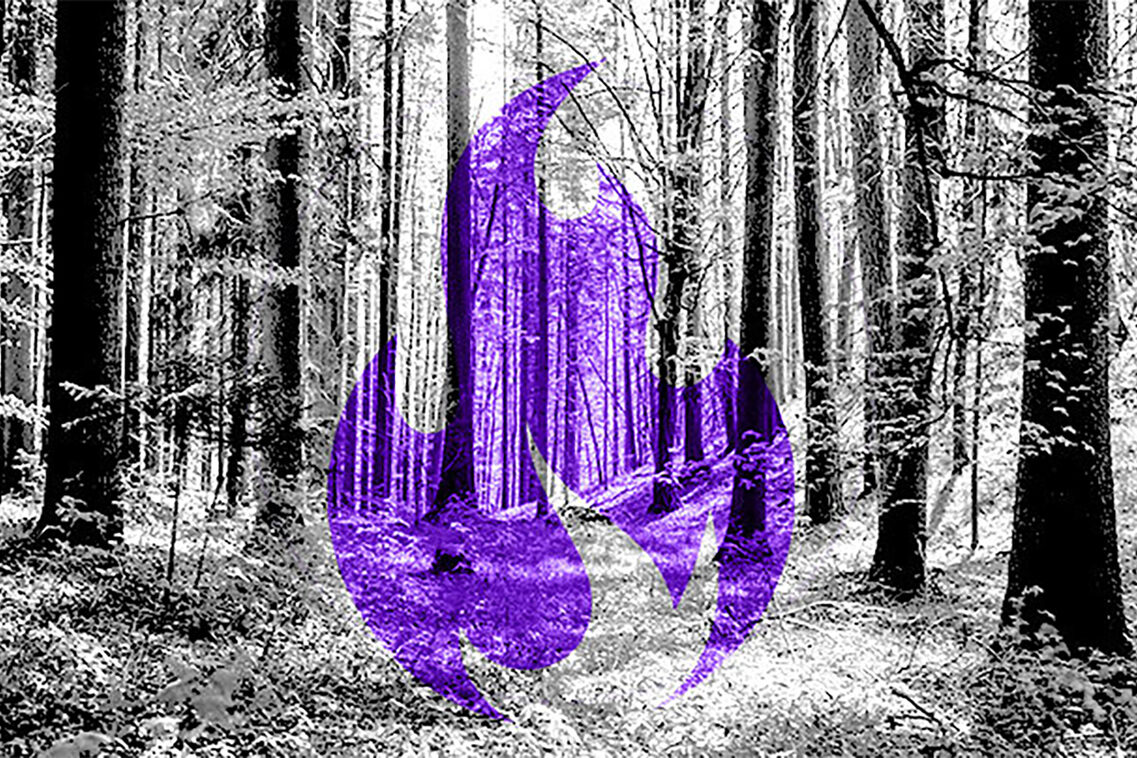 Wald mit grafischem Symbol - Flamme lila.