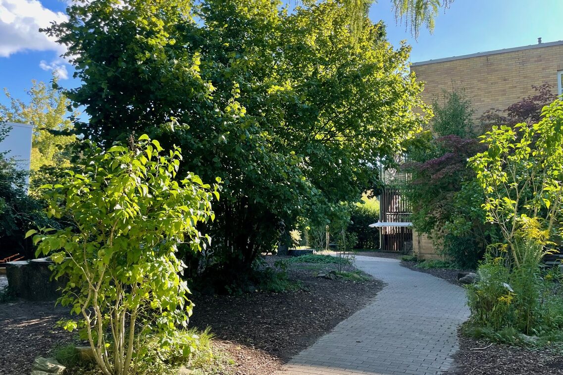 Zugang zur Kindertagesstätte. Der Weg ist mit Bäumen und Sträucher links und rechts begrenzt