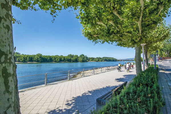 Radweg an einem Fluss mit viel Grün am Ufer.