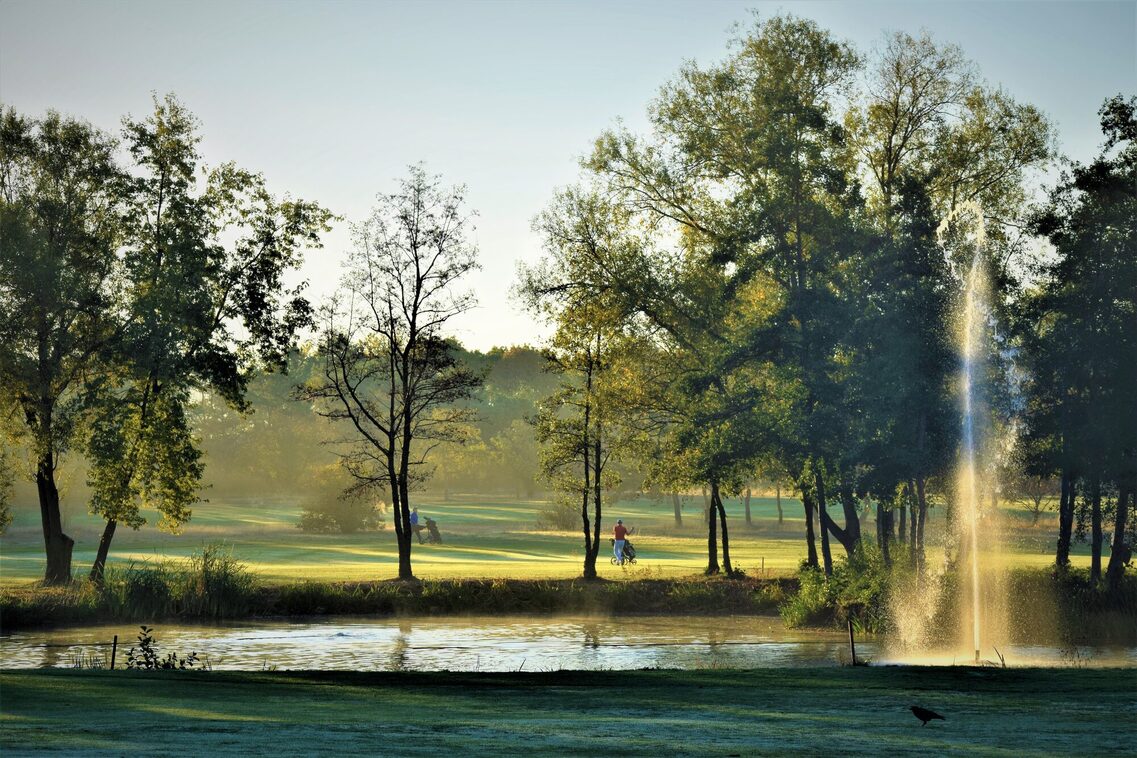 Blick auf Golfplatz mit Bäumen und See
