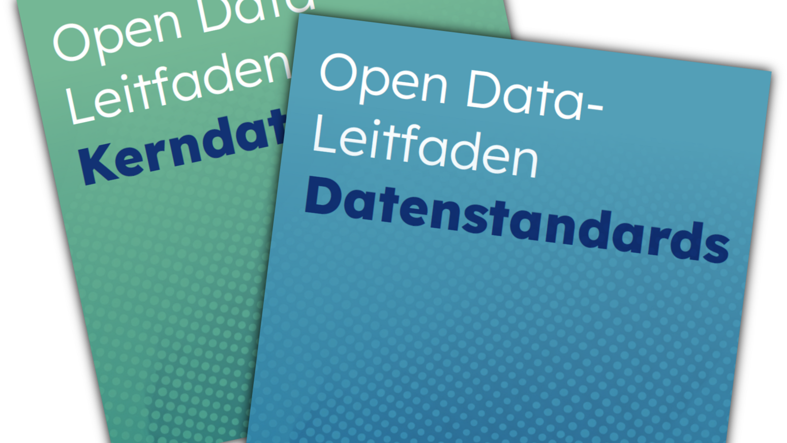 Open Data Leitfäden