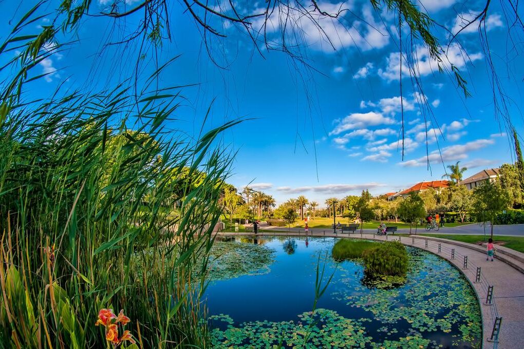 Stadtpark von Kfar Saba