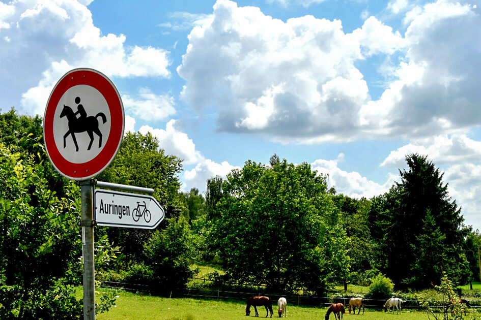 Landschaft mit Pferden.