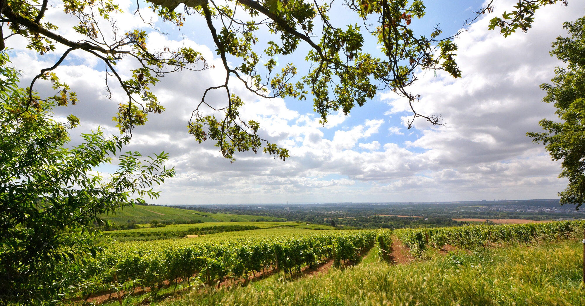 History of Frauenstein | State capital Wiesbaden