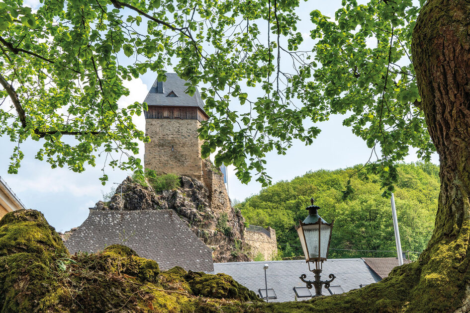 Burg Frauenstein mitten im Grünen.