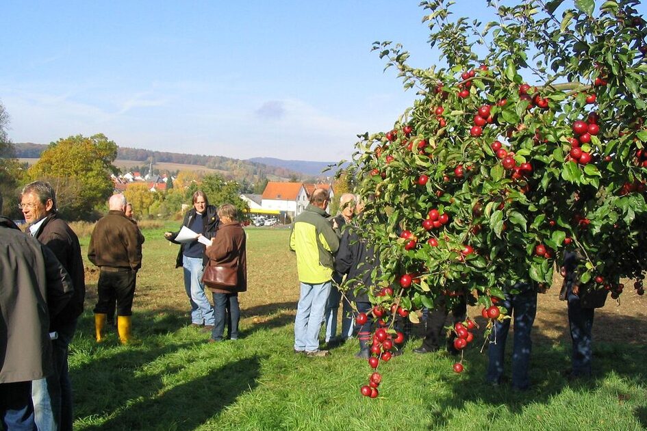 Menschen stehen zwischen Apfelbäumen und unterhalten sich.