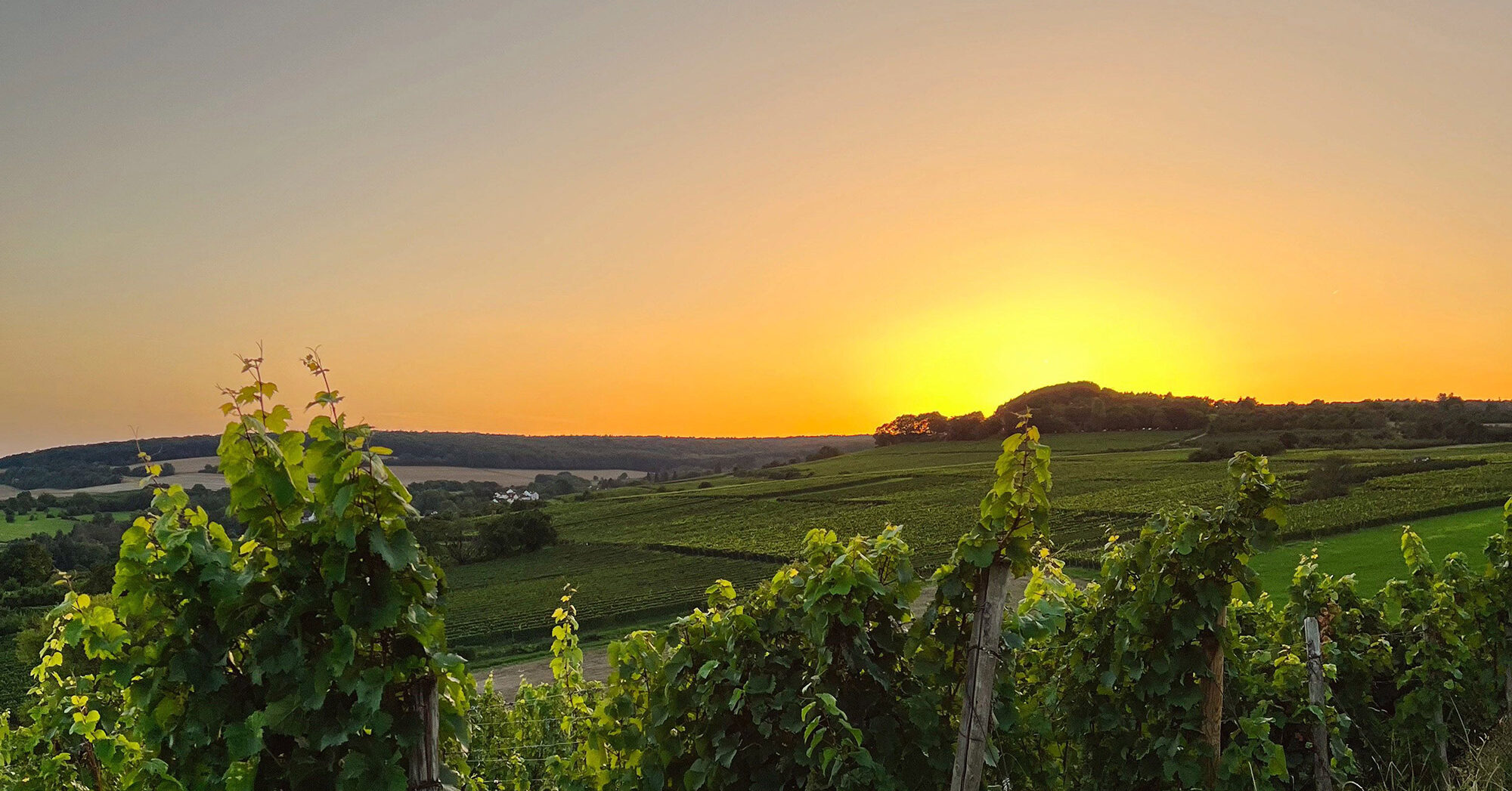 Schierstein | Landeshauptstadt Wiesbaden