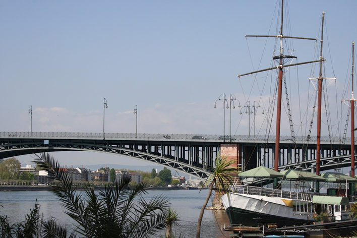 Blick auf den Rhein, mit Palme und Boot im Vordergrund.