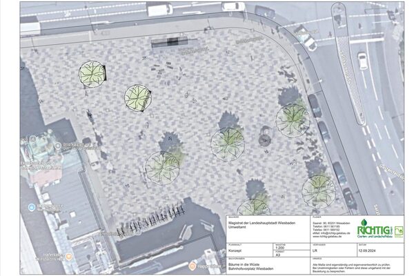 Progetto di pianificazione per la piantumazione di un piazzale di stazione