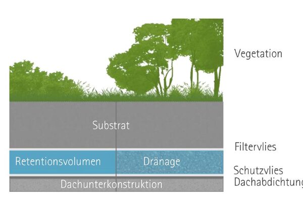 Secțiune transversală a unui acoperiș verde cu vegetație, substrat, volum de retenție, drenaj, pânză filtrantă, pânză protectoare, impermeabilizarea acoperișului și substructura acoperișului
