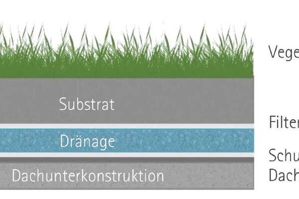 Secțiune transversală a unui acoperiș verde cu vegetație, substrat, drenaj, pânză filtrantă, pânză protectoare, impermeabilizarea acoperișului și substructura acoperișului
