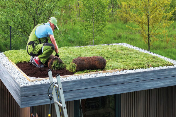 Gärtner mit Rollrasen auf Schuppendach